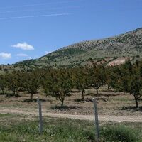 Üreticiye sıfır maliyetli meyve bahçeleri