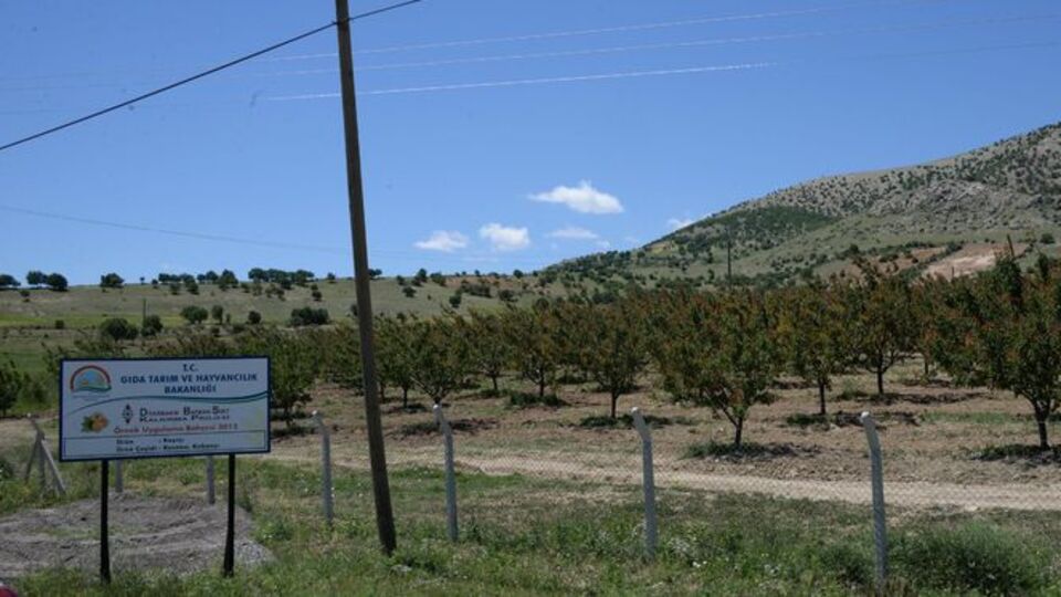 Üreticiye sıfır maliyetli meyve bahçeleri