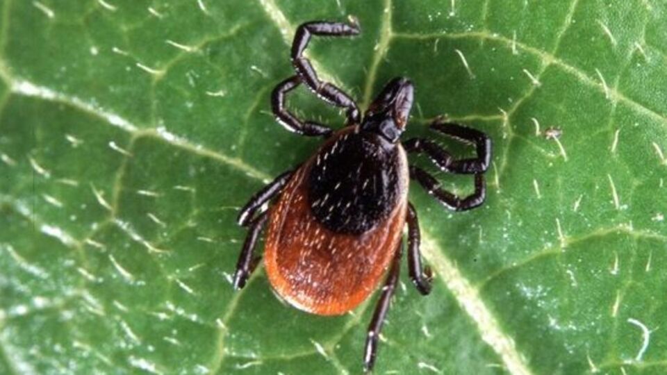 Bu belirtileri fark ederseniz hemen hastaneye gidin!