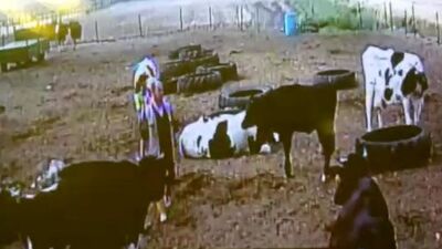 Kameradan gördüklerine inanamadı!