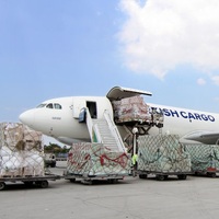 5 günde 15 seferle bin ton gıda uçurduk