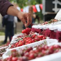 Ramazanda en çok o ucuzladı