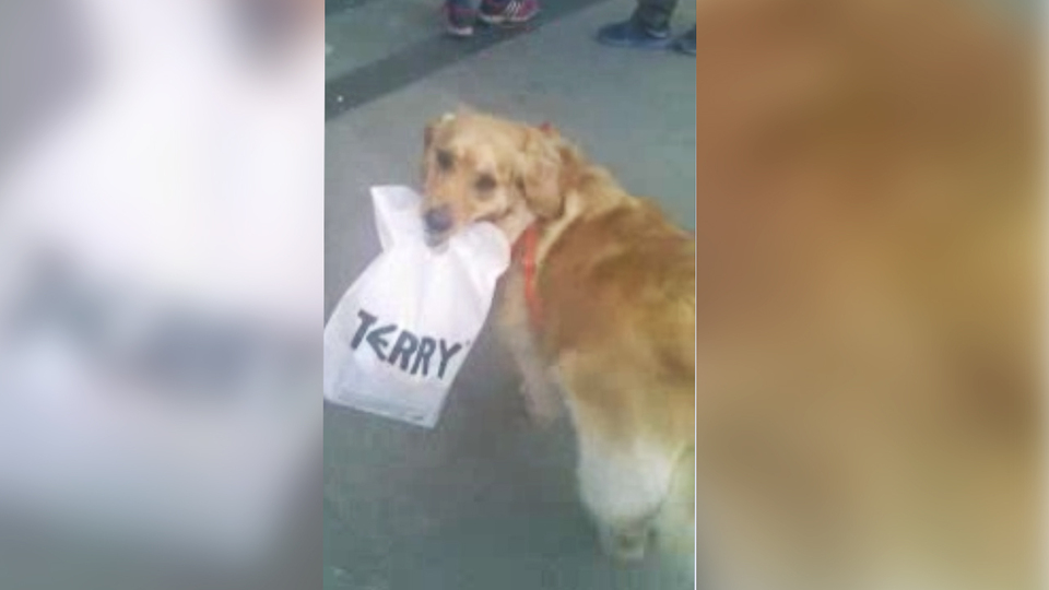 Alışveriş poşetini kimseye vermedi! İzmir çarşıdan renkli görüntüler