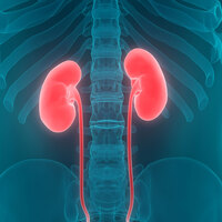 Oruç tutarken yaptığınız bu hata böbreğinizi bitirebilir!