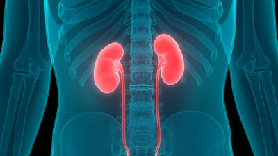 Oruç tutarken yaptığınız bu hata böbreğinizi bitirebilir!