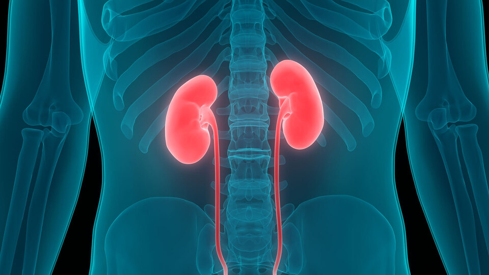 Oruç tutarken yaptığınız bu hata böbreğinizi bitirebilir!