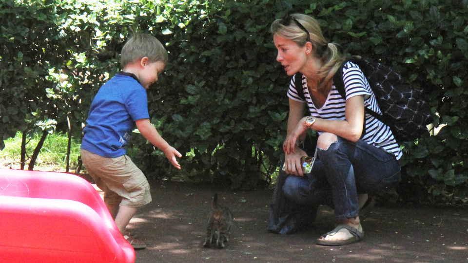 Azur'un kedi sevgisi