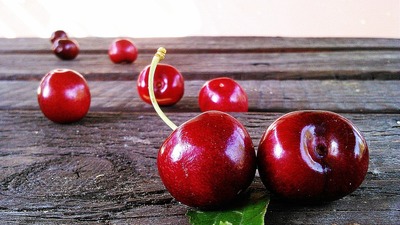 Çin'den gelen heyet "olumlu" baktı