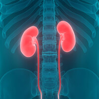 Böbrekleri bitiren alışkanlıklar...