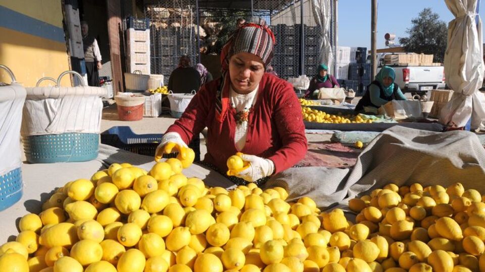 Rusya 5 ayda 36.6 milyon dolar kazandırdı