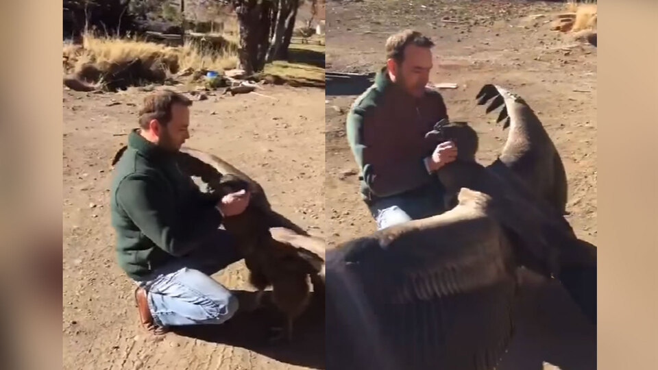 Akbaba ile çiftçinin şaşırtan dostluğu