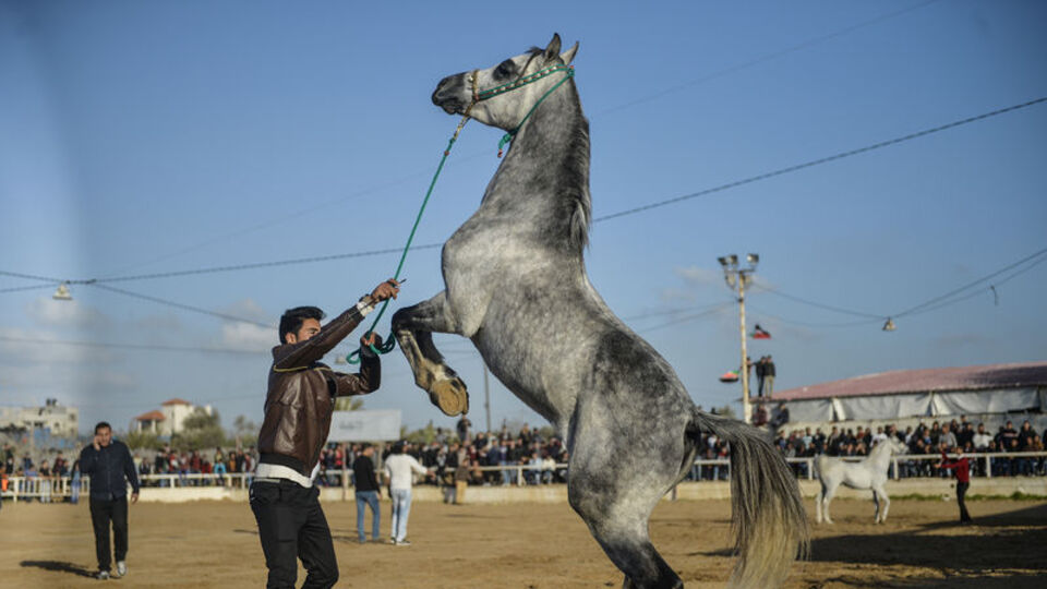 Açık artırma ile satılacak