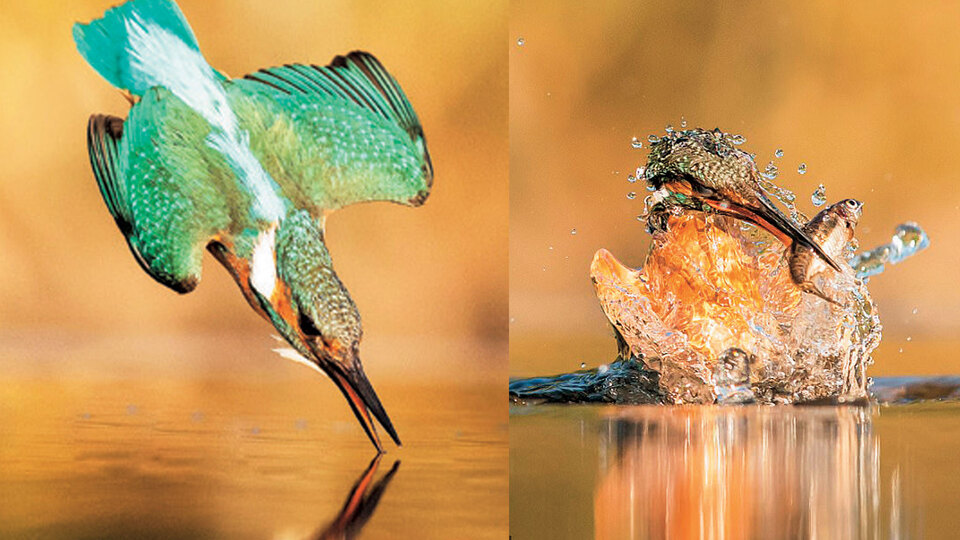 Bu kare için dört yılını harcadı