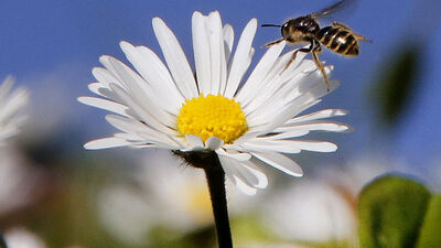 21 Haziran Yaz Gündönümü nedir?