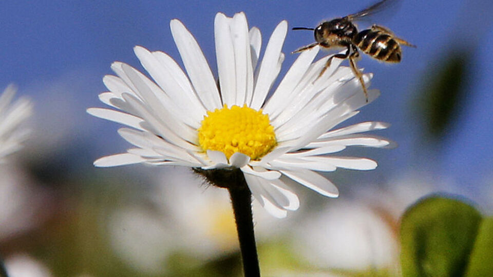 21 Haziran Yaz Gündönümü nedir?