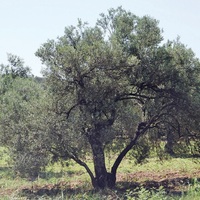 1.5 milyarlık yük kalktı