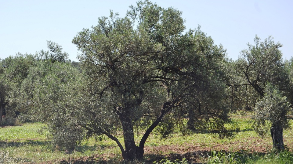 1.5 milyarlık yük kalktı