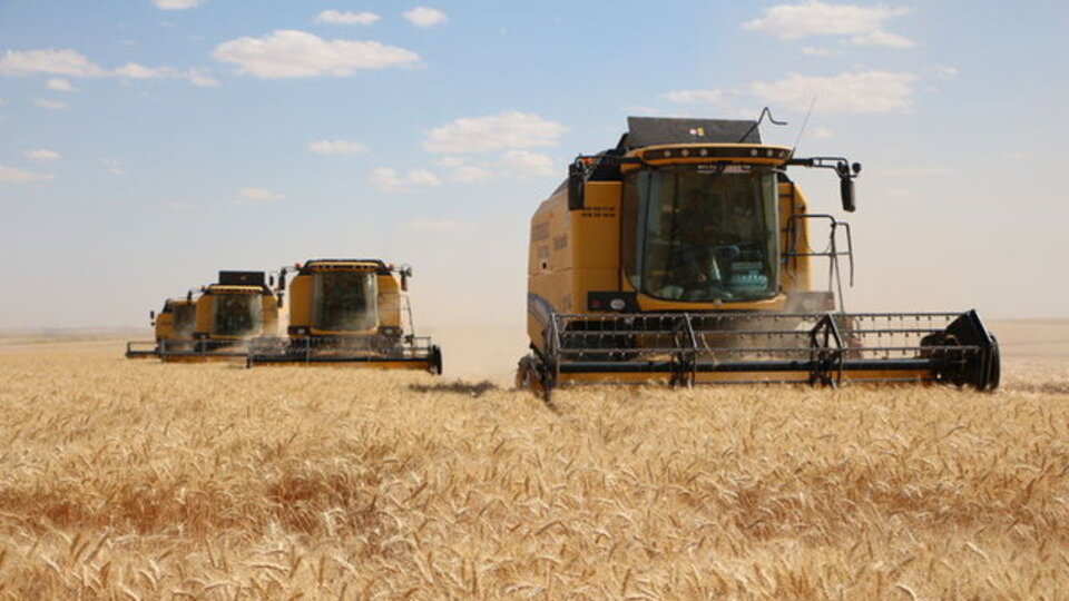 Hasat başladı, hububatta verim arttı