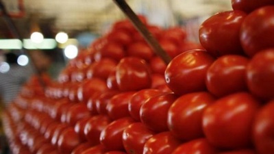 Rusya'dan domates açıklaması