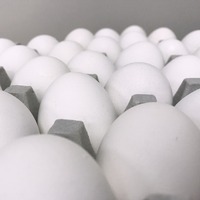 Tanesi 20 kuruşa kadar düştü ama alan yok