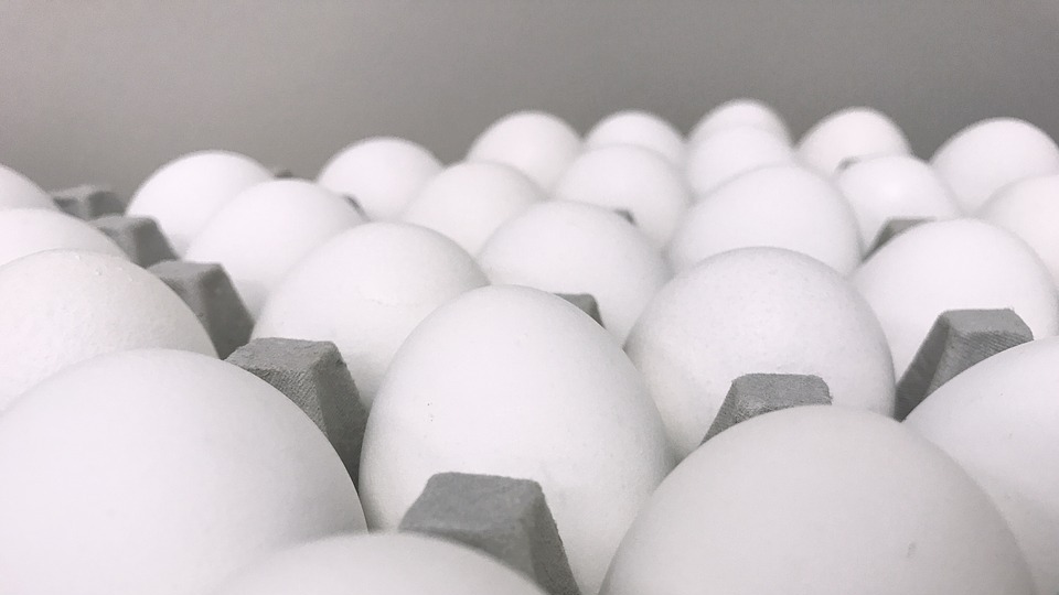 Tanesi 20 kuruşa kadar düştü ama alan yok