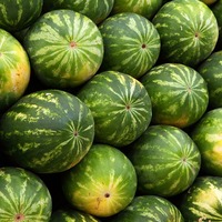 "Çekirdekten karpuz ekme devri bitti"