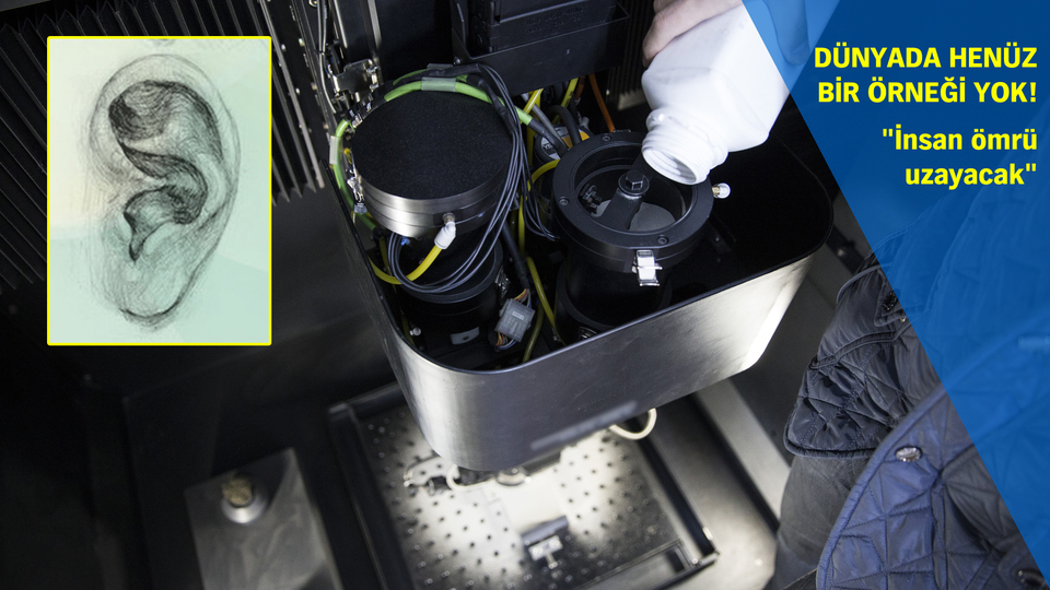 3D kulak tamam sırada karaciğer var!