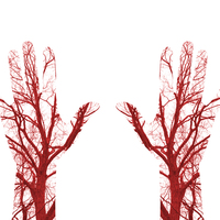 Damar sertliğine dikkat!