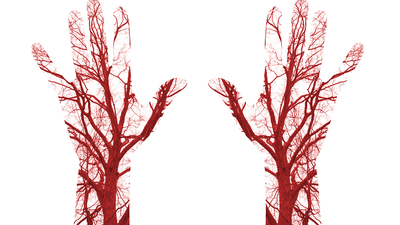 Damar sertliğine dikkat!