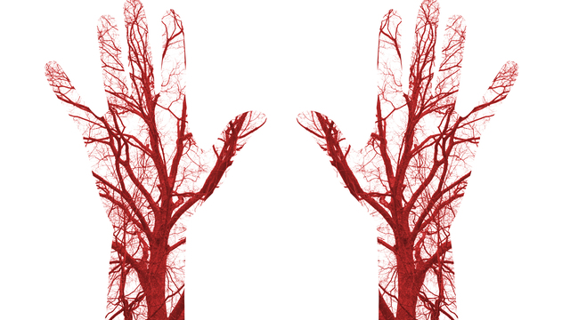 Damar sertliğine dikkat!