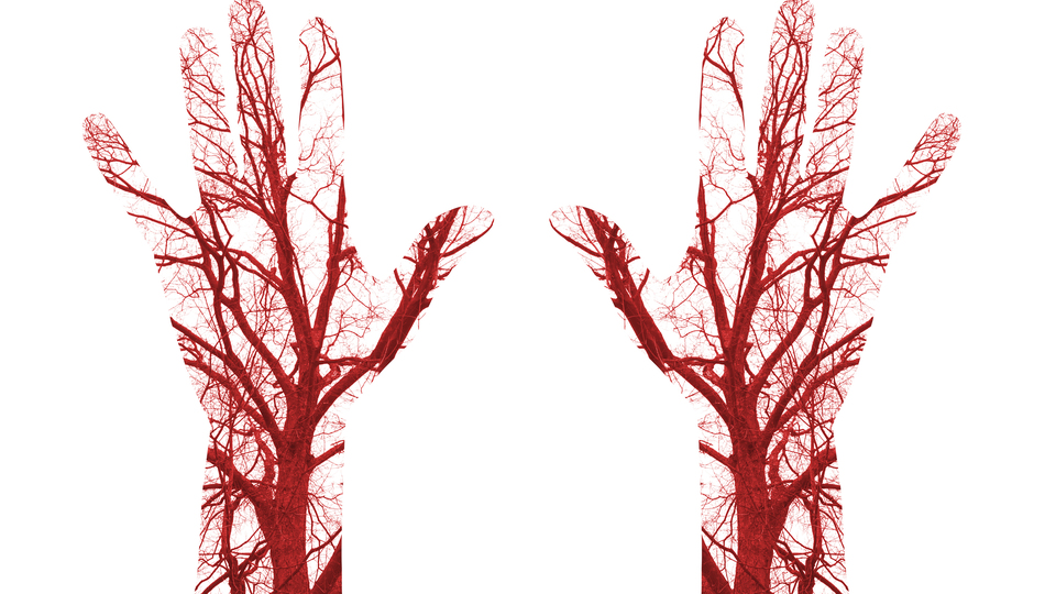 Damar sertliğine dikkat!