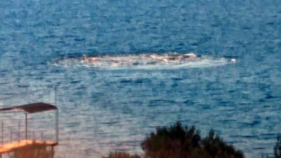 Denizdeki korkutan görüntü... Açıklama geldi