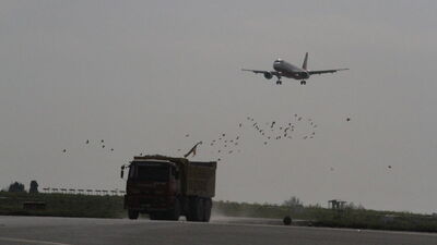 Atatürk Havalimanı'nda ördek alarmı