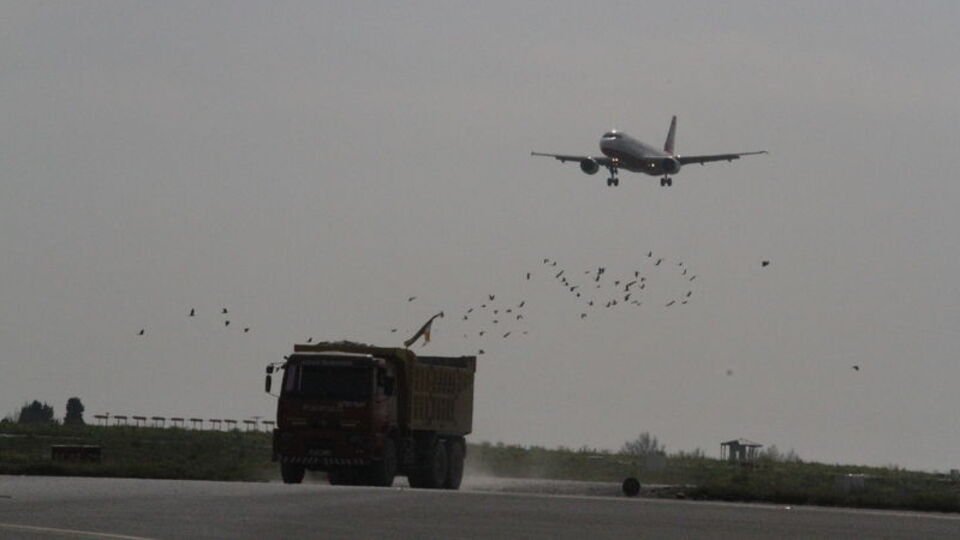 Atatürk Havalimanı'nda ördek alarmı