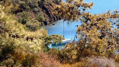 Mahkemeden "Çökertme" kararı