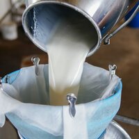 Süt fiyatlarıyla ilgili önemli gelişme