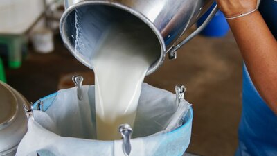 Süt fiyatlarıyla ilgili önemli gelişme