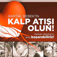 Türkiye, Kartal bebeği kurtarmak için seferber oldu!