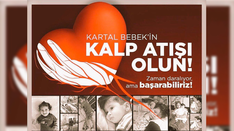 Türkiye, Kartal bebeği kurtarmak için seferber oldu!