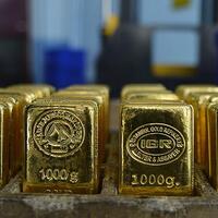 Bu yılın ilk yarısında 25.7 ton üretildi