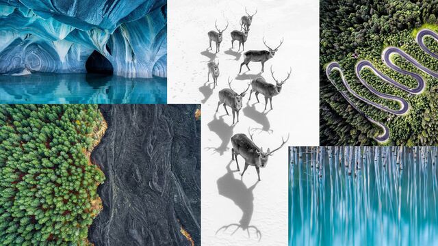 National Geographic favori karelerini yayınladı