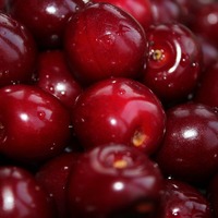 İhracatı 54 kat birden arttı