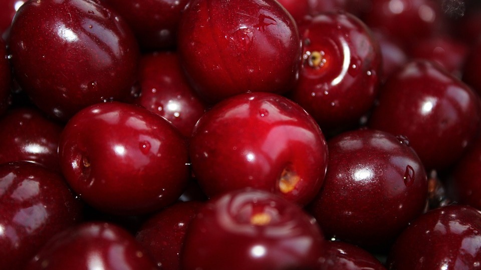 İhracatı 54 kat birden arttı