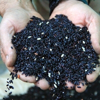 Türkiye'nin yerli tavuğu ile tanışın: Anadolu T