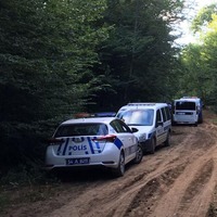 Yaşananlara 'vahşet' demek az kalır!