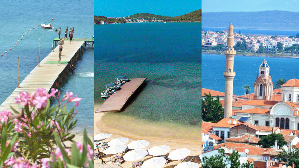 Bol oksijen, nefis zeytinler ve Ayvalık