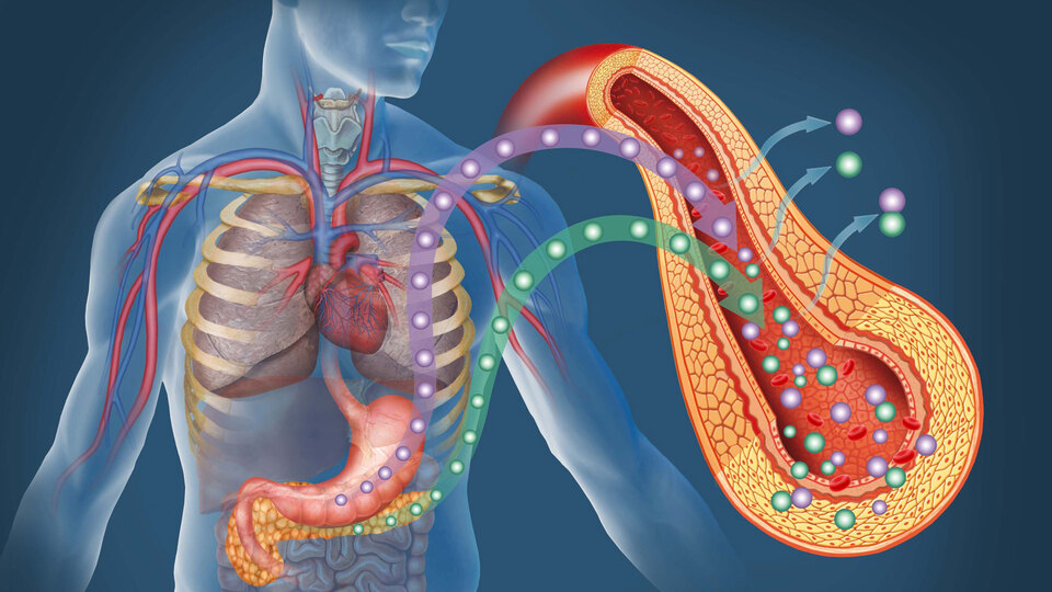 Cushing sendromu nedir? Cushing sendromu belirtileri nelerdir?