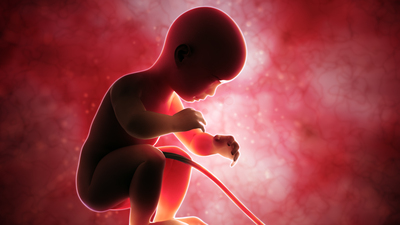 Gebelikte tüketilen alkol bebeğin kalbini deliyor!