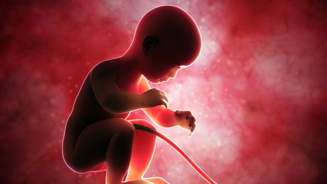 Gebelikte tüketilen alkol bebeğin kalbini deliyor!