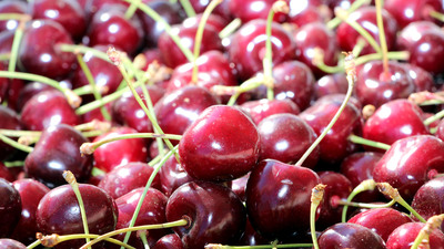 15 yıl aradan sonra ilk kez